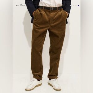 Alex Mill Standard Pleat Pant in Cord sz 28